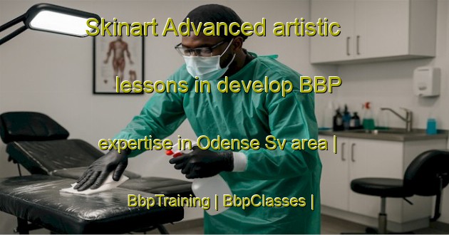 Skinart Advanced artistic lessons in develop BBP expertise in Odense Sv area | BbpTraining | BbpClasses | SkinartTraining-Denmark
